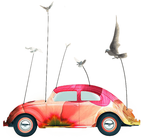 voiture kaiman