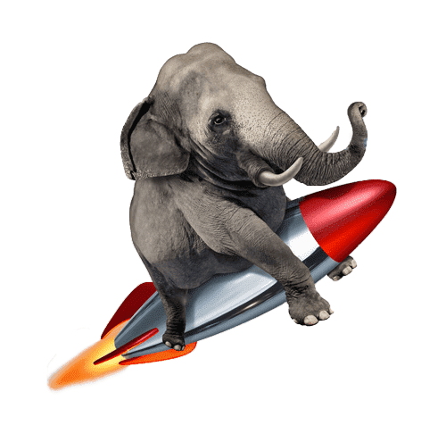 éléphant fusée kaiman