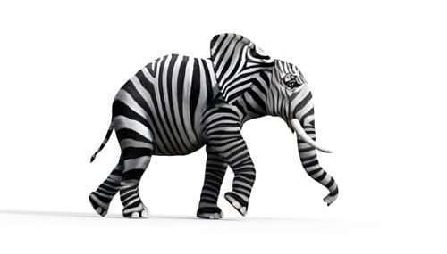 éléphant surréalisme kaiman