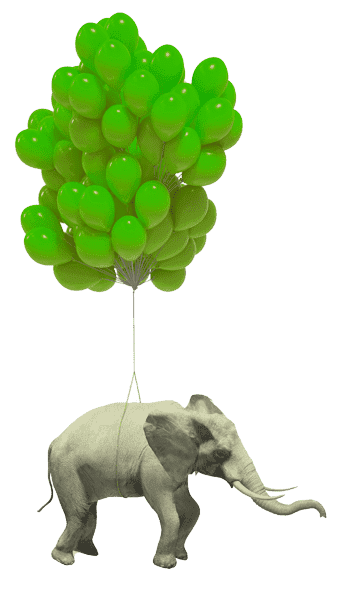 éléphant kaiman