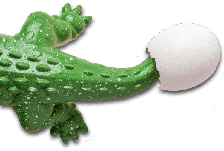 kaiman up incubateur crocodile oeuf